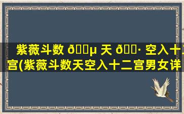 紫薇斗数 🌵 天 🌷 空入十二宫(紫薇斗数天空入十二宫男女详解)